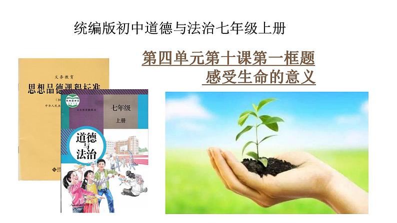 2022-2023学年部编版道德与法治七年级上册10.1感受生命的意义34张第1页