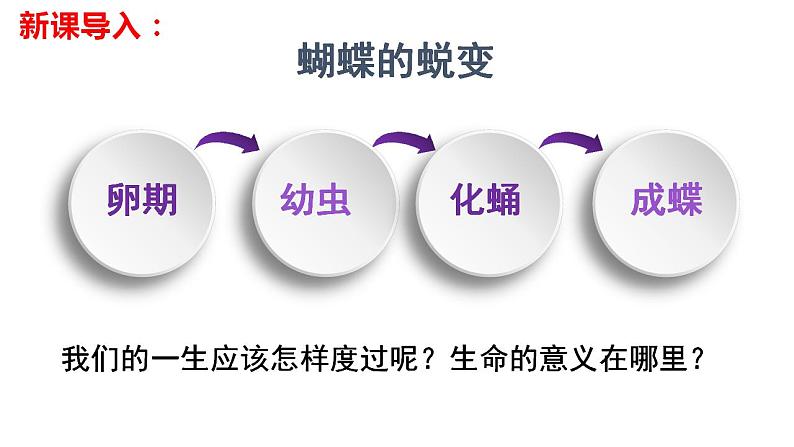 2022-2023学年部编版道德与法治七年级上册10.1感受生命的意义34张第4页