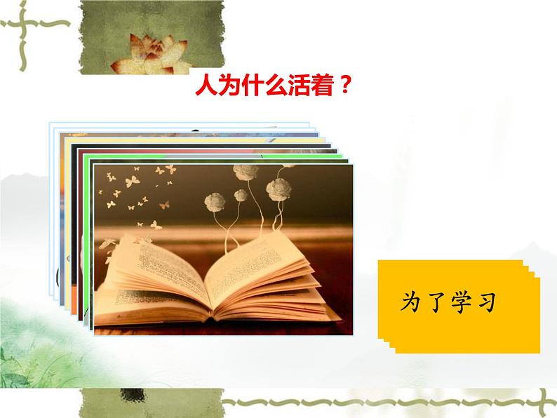 10.1  感受生命的意义 课件-2022-2023学年部编版道德与法治七年级上册第7页