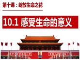 10.1 感受生命的意义 课件-2022-2023学年部编版道德与法治七年级上册
