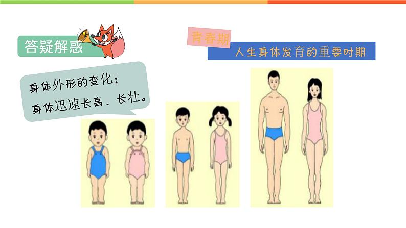 1.1 悄悄变化的我（课件）部编版七年级道德与法治下册04