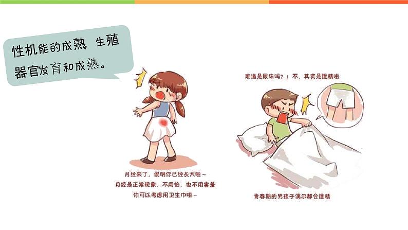 1.1 悄悄变化的我（课件）部编版七年级道德与法治下册06