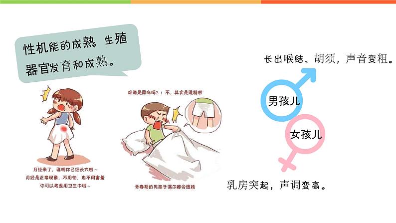 1.1 悄悄变化的我（课件）部编版七年级道德与法治下册07