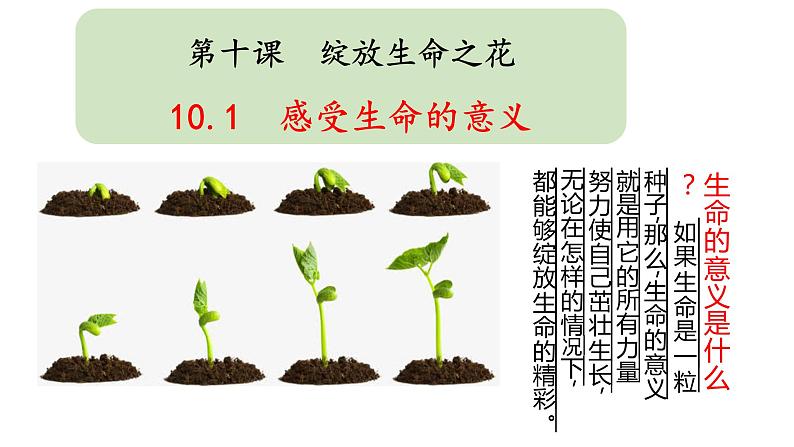 10.1感受生命的意义课件PPT第1页