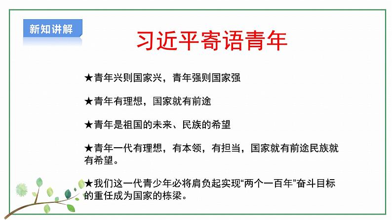 【新目标】九年级道德与法治 下册 5.2 少年当自强 课件 第6页