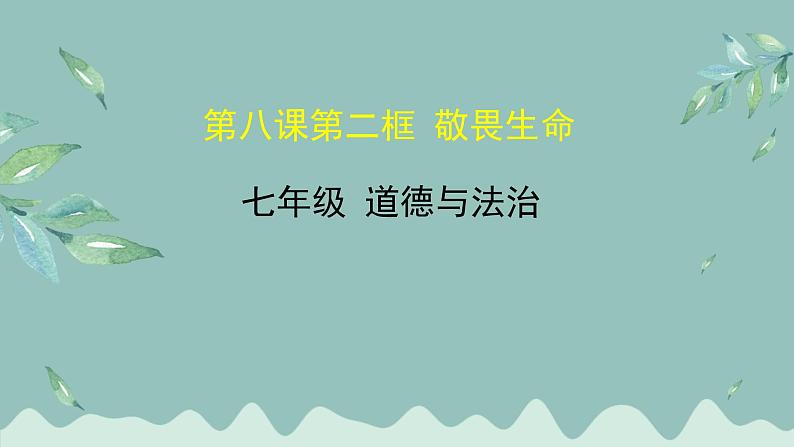 道德与法治 7年级上册 第13课时《敬畏生命》课件带配套教案01