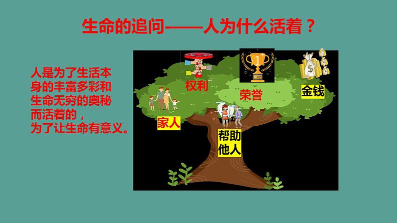 第16课时《感受生命的意义》 课件第8页