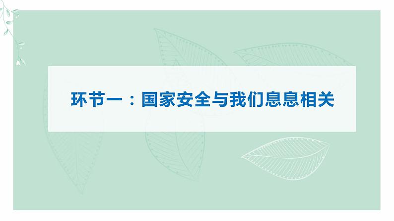 道德与法治八年级上册同步课件 树立总体国家安全观（终）06