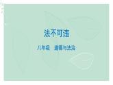 道德与法治八年级上册同步课件 第4课时维护秩序 课件