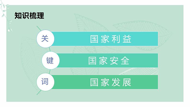 道德与法治八年级上册同步课件 维护国家利益第3页