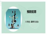 道德与法治八年级上册同步课件 《预防犯罪》教学课件