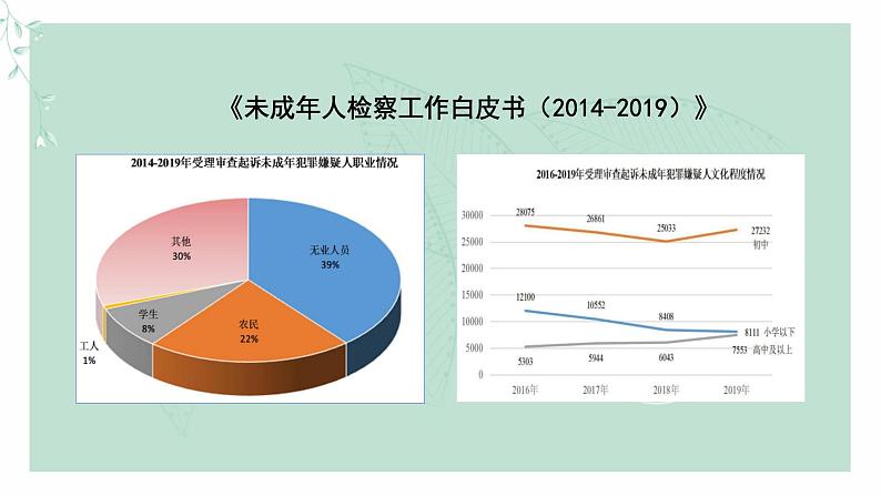 道德与法治八年级上册同步课件 《预防犯罪》教学课件第5页