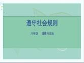 道德与法治八年级上册同步课件 遵守社会规则