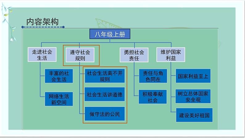 道德与法治八年级上册同步课件 遵守社会规则第4页