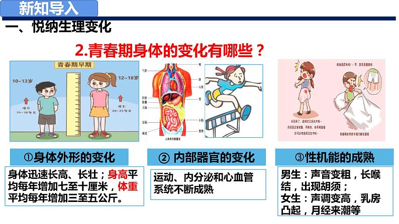 1.1悄悄变化的我课件PPT07