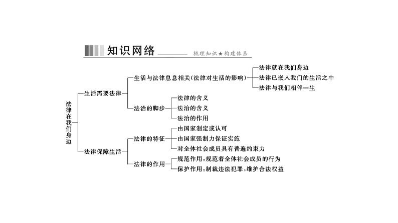 统编版道德与法治·七年级下册 第四单元 第九课 第1课时 生活需要法律[训练课件]第2页