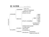 统编版道德与法治·七年级下册 第四单元 第十课 第1课时 法律为我们护航[训练课件]