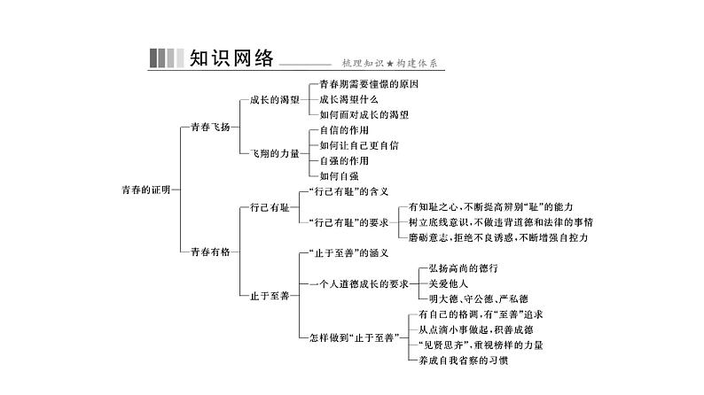 统编版道德与法治·七年级下册 第一单元 第三课 第1课时 青春飞扬[训练课件]第2页