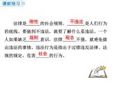第1课时 法不可违课件PPT