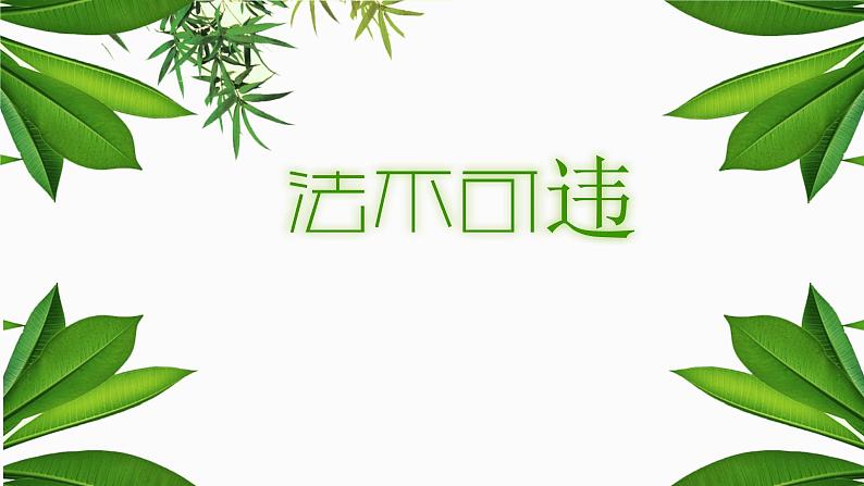 法不可违复习课件PPT第1页