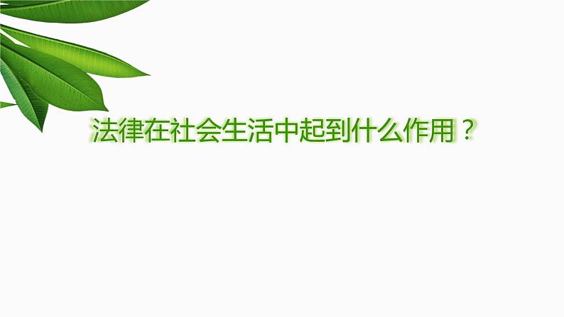 法不可违复习课件PPT第2页