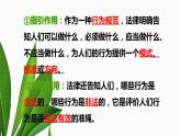 法不可违复习课件PPT