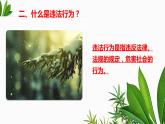 法不可违复习课件PPT