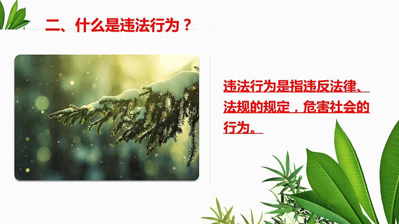 法不可违复习课件PPT第4页