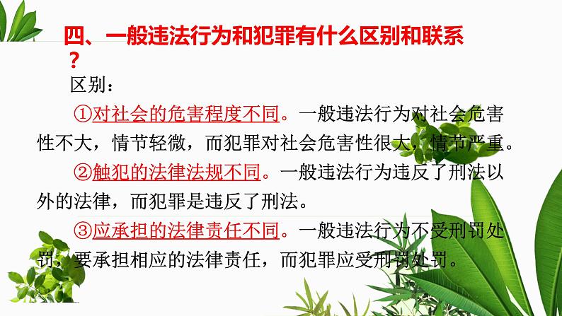 法不可违复习课件PPT第7页