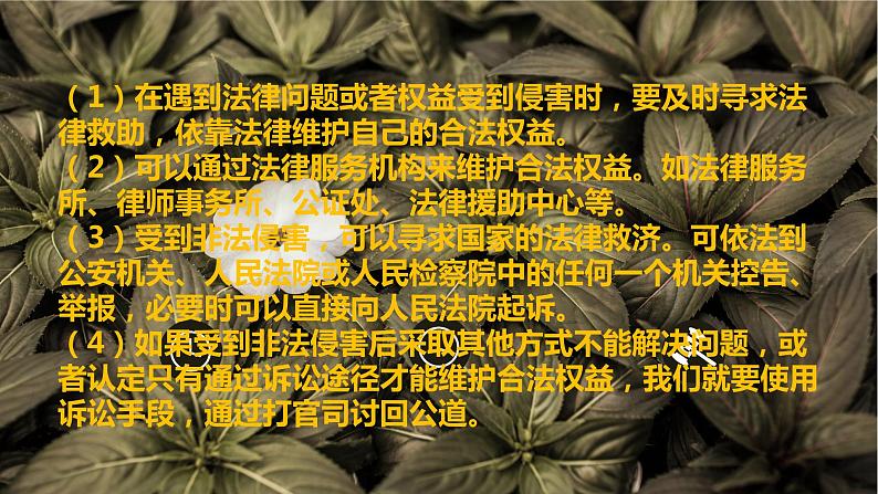 善用法律复习课件PPT第3页