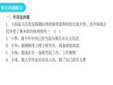 人教版八年级道德与法治下册第二单元复习教学课件