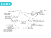 人教版八年级道德与法治下册第三单元复习教学课件