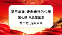 初中政治 (道德与法治)人教部编版九年级下册走向未来精品ppt课件