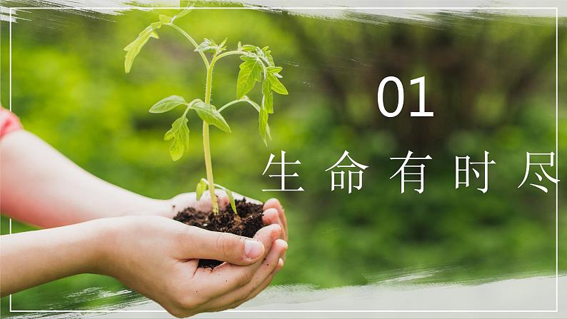 8.1生命可以永恒吗（课件）第2页
