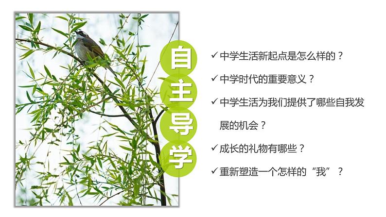 1.1中学序曲 课件第4页