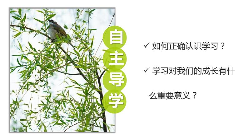 2.1学习伴成长第2页