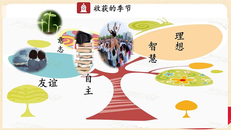 7.1回望成长（课件+视频）第5页