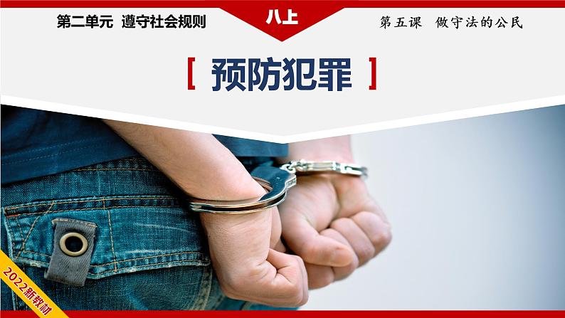 5.2预防犯罪（教学课件）八年级道德与法治上册同步备课系列（部编版）04