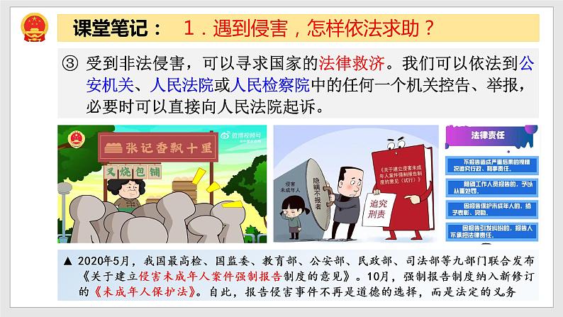 5.3 善用法律第8页