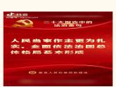 5.1法不可违 课件