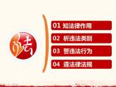 5.1法不可违 课件