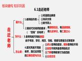 精编七年级道德与法治上册同步备课系列（部编版）七上第三单元 师长情谊 单元复习课件知识清单