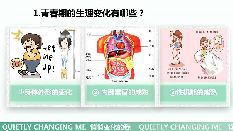 1.1 悄悄变化的我课件PPT第6页