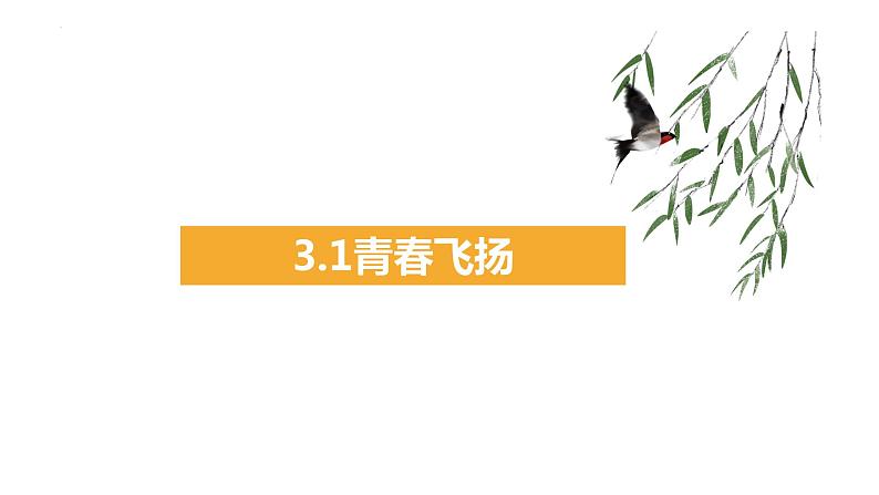 2022-2023学年部编版道德与法治七年级下册 3.1 青春飞扬 课件第1页