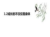 2022-2023学年部编版道德与法治七年级下册 1.2 成长的不仅仅是身体 课件