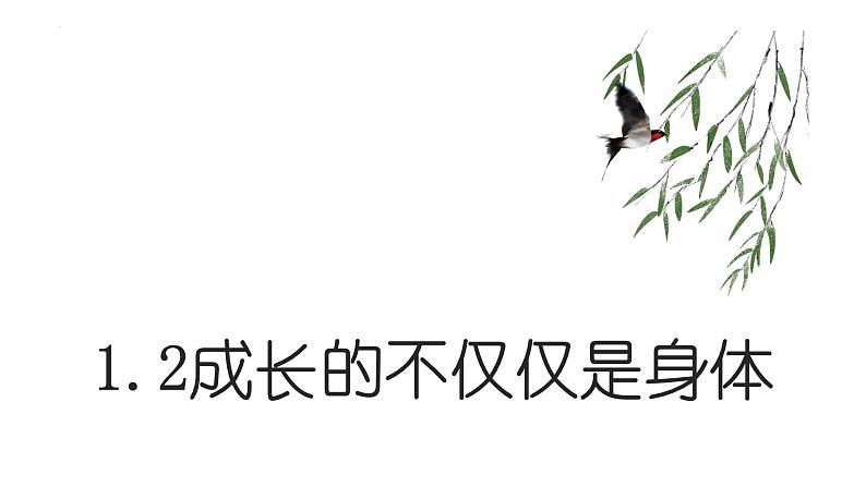 2022-2023学年部编版道德与法治七年级下册 1.2 成长的不仅仅是身体 课件第1页