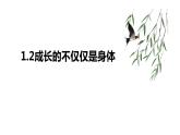 2022-2023学年部编版道德与法治七年级下册 1.2 成长的不仅仅是身体 课件