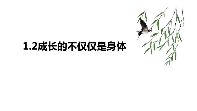 2022-2023学年部编版道德与法治七年级下册 1.2 成长的不仅仅是身体 课件第1页