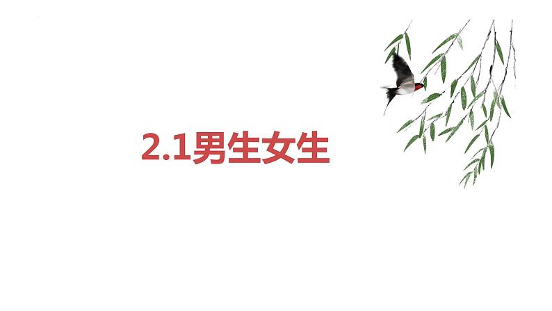 2022-2023学年部编版道德与法治七年级下册 2.1 男生女生 课件第1页