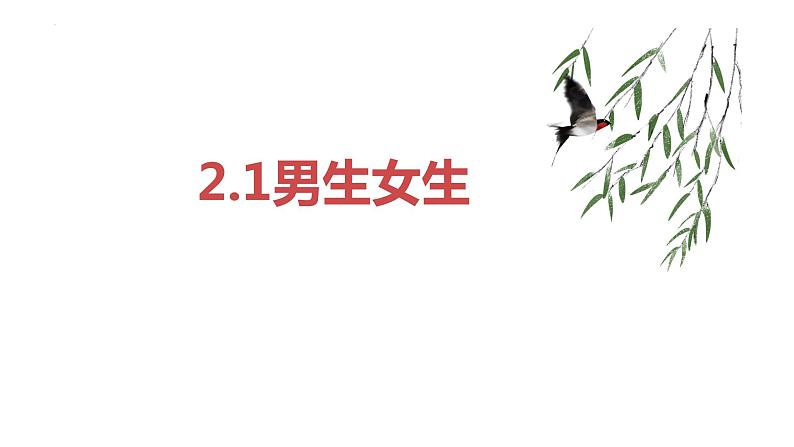 2022-2023学年部编版道德与法治七年级下册 2.1 男生女生 课件第1页